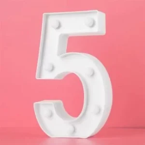 LED Light Up Number 5