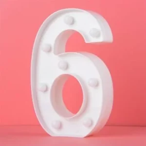 LED Light Up Number 6/9