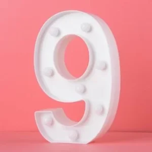 LED Light Up Number 6/9
