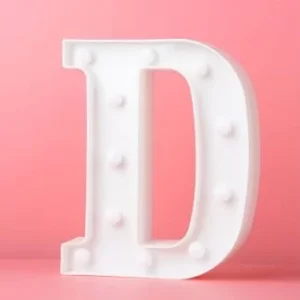 LED LIGHT UP LETTER D